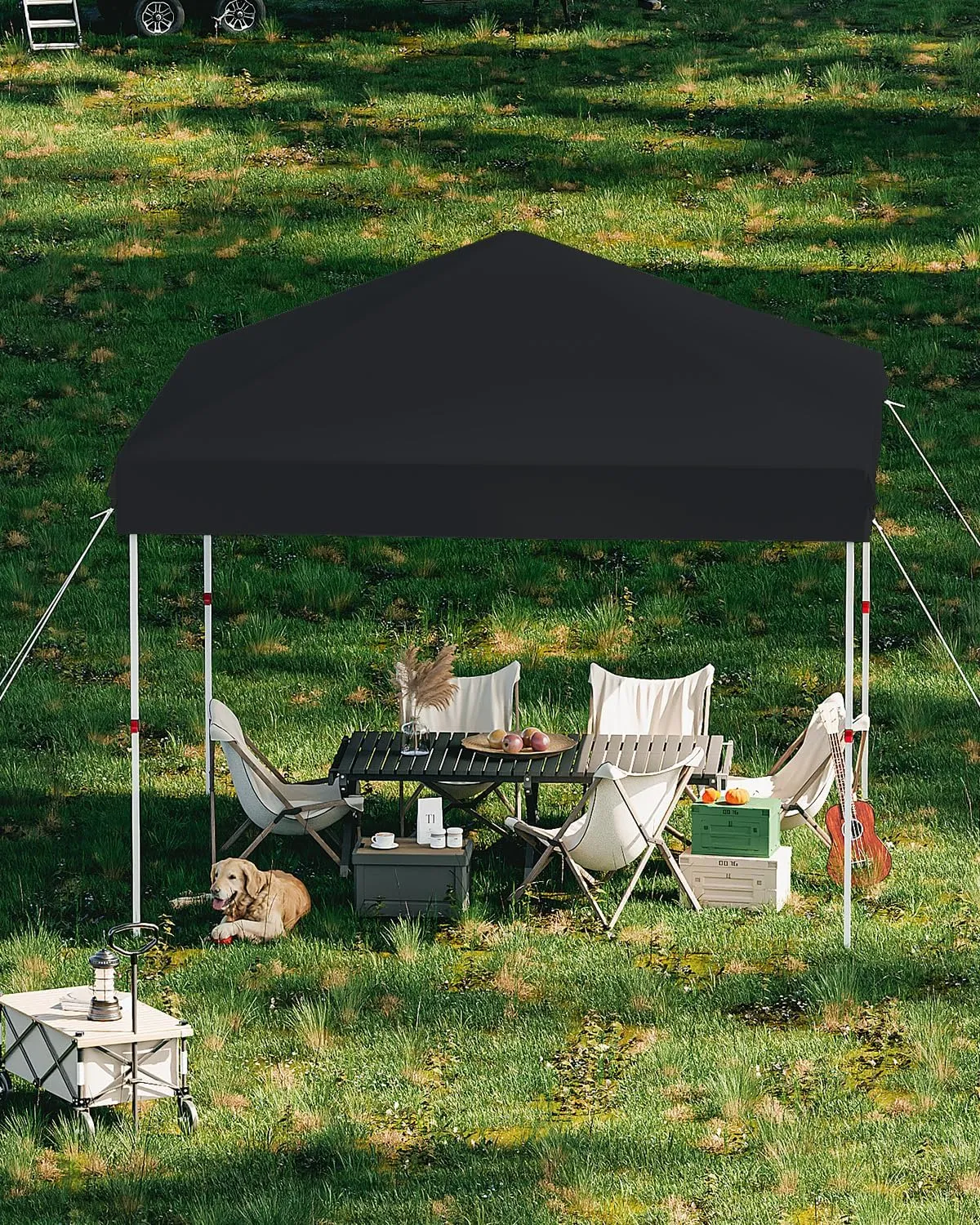 10x10 Pop Up Canopy with One Button Push Setup - Heavy Duty Outdoor Canopy Tent with Portable Roller Bag - 3 Adjustable Height, 4 Weight Bags, 8 Stakes & 4 Guy Ropes Included, Black