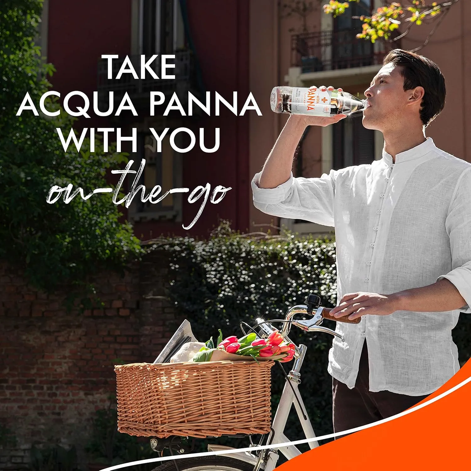 Acqua Panna Natural Spring Water, 33.8 Fl Oz (Pack of 12)