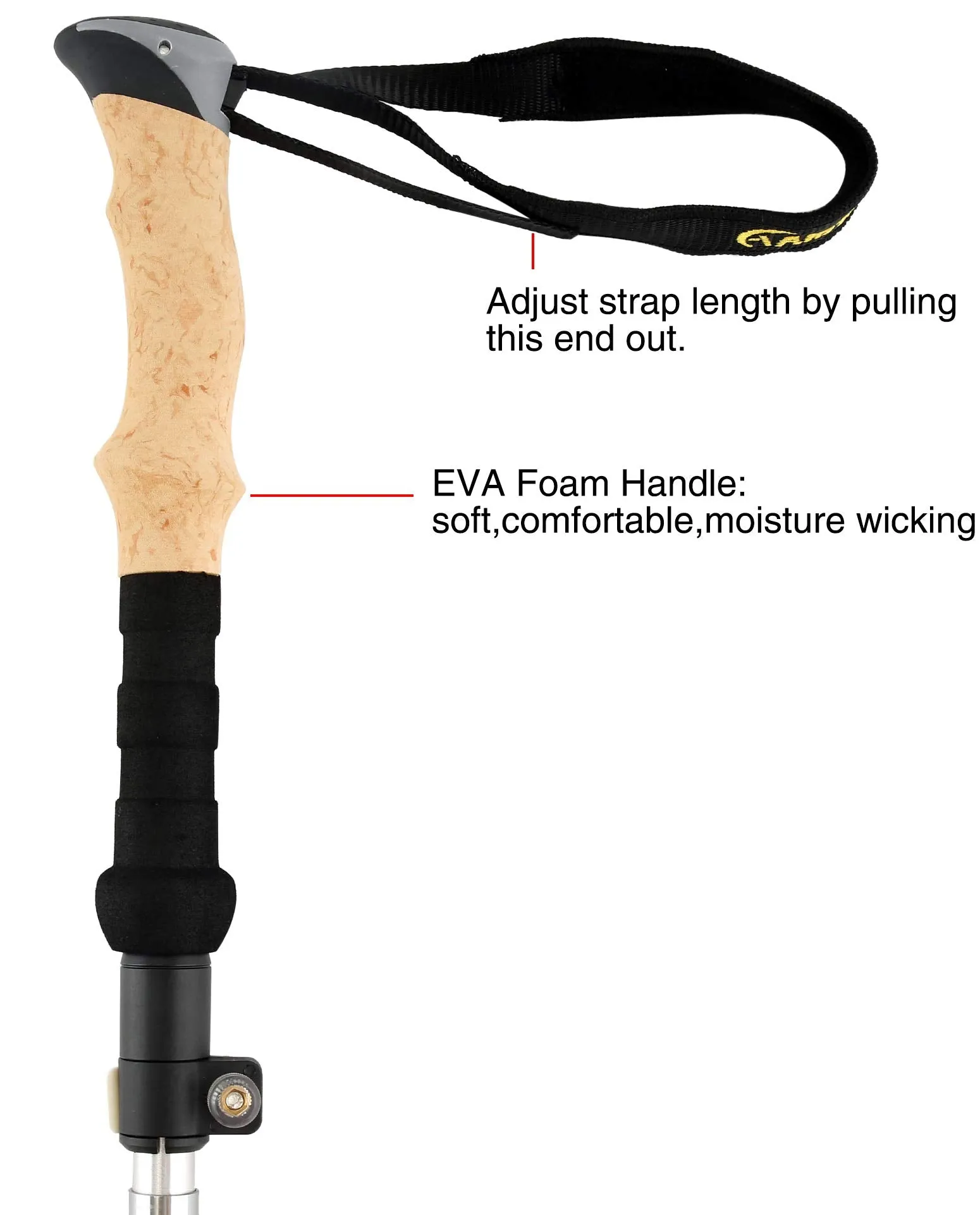 Aluminum Collapsible Ultralight Travel Trekking Hiking Pole for Men and Women
