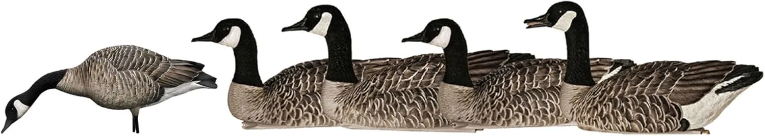 Avian-X AXP Honkers Full Body Goose Decoy Bundled with Topflight Floaters for Hunting Use, Outdoor Sports, and Recreational Activities, Multicolor