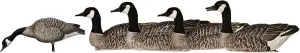 Avian-X AXP Honkers Full Body Goose Decoy Bundled with Topflight Floaters for Hunting Use, Outdoor Sports, and Recreational Activities, Multicolor