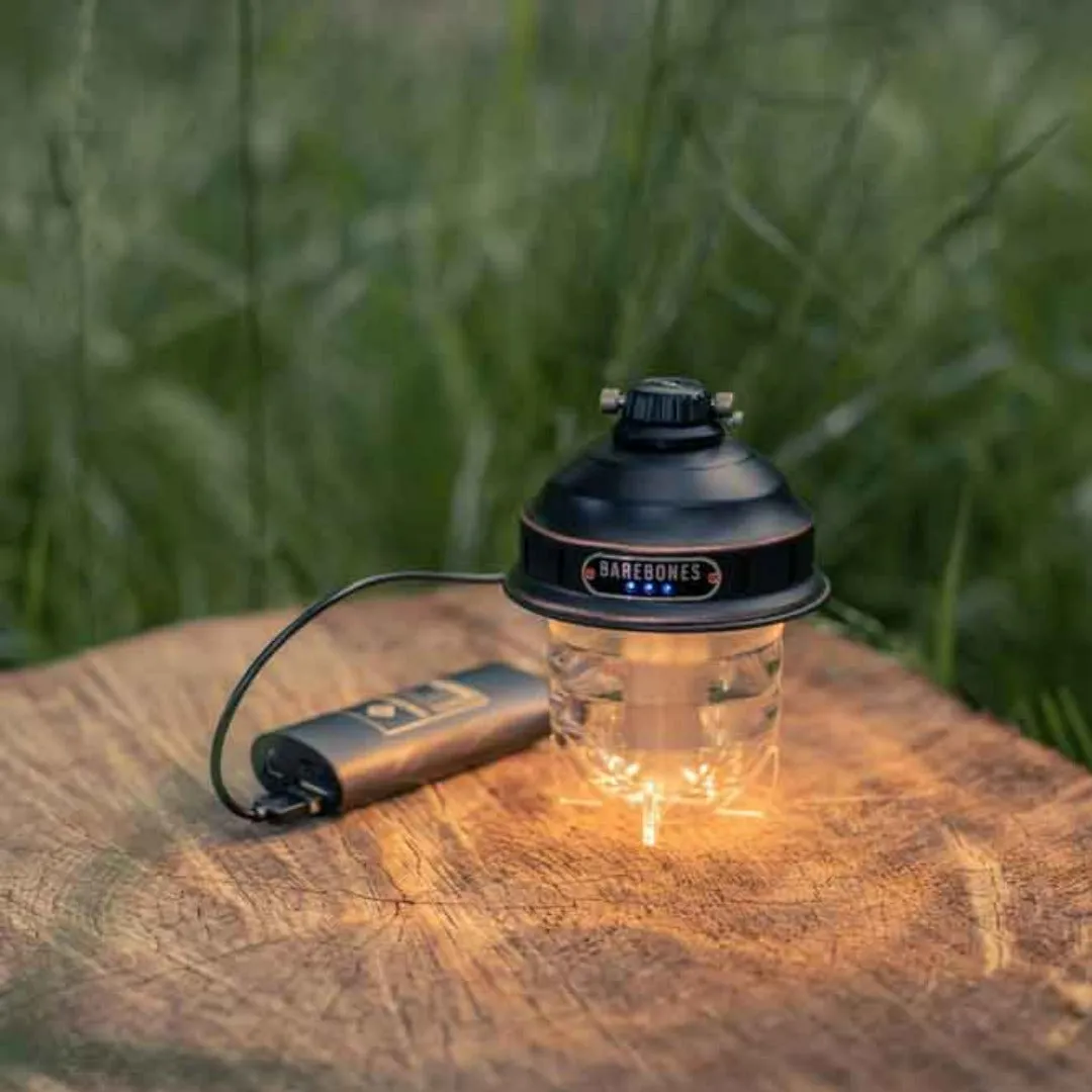 Barebones Beacon Lights Kraft Packaging
