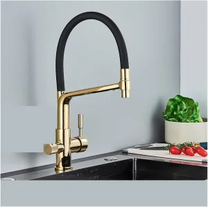 Black White Filtered Kitchen Faucets Pull Out 360 Rotation Mixer Tap Pure Water Crane for Kitchen Filtered Water Taps(Type B-Shiny Gold)