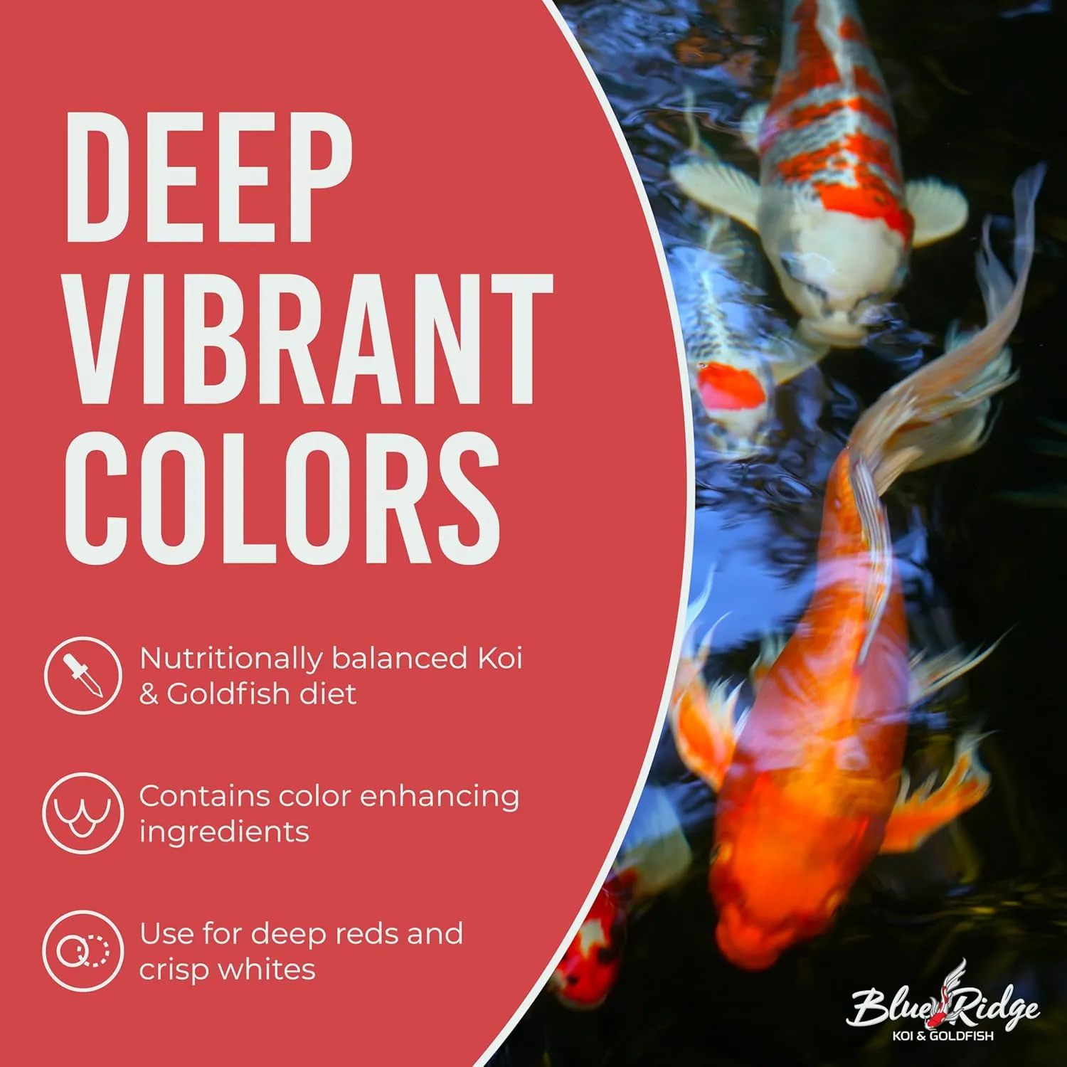 Blue Ridge Koi Fish Food 5lb - Koi Food 3/16” Probiotic Plus, Goldfish Food, Premium Fish Food for Ponds, Ponds Fish Food, Koi Food Fall and Winter Fish Food, Floating Pond Pellets