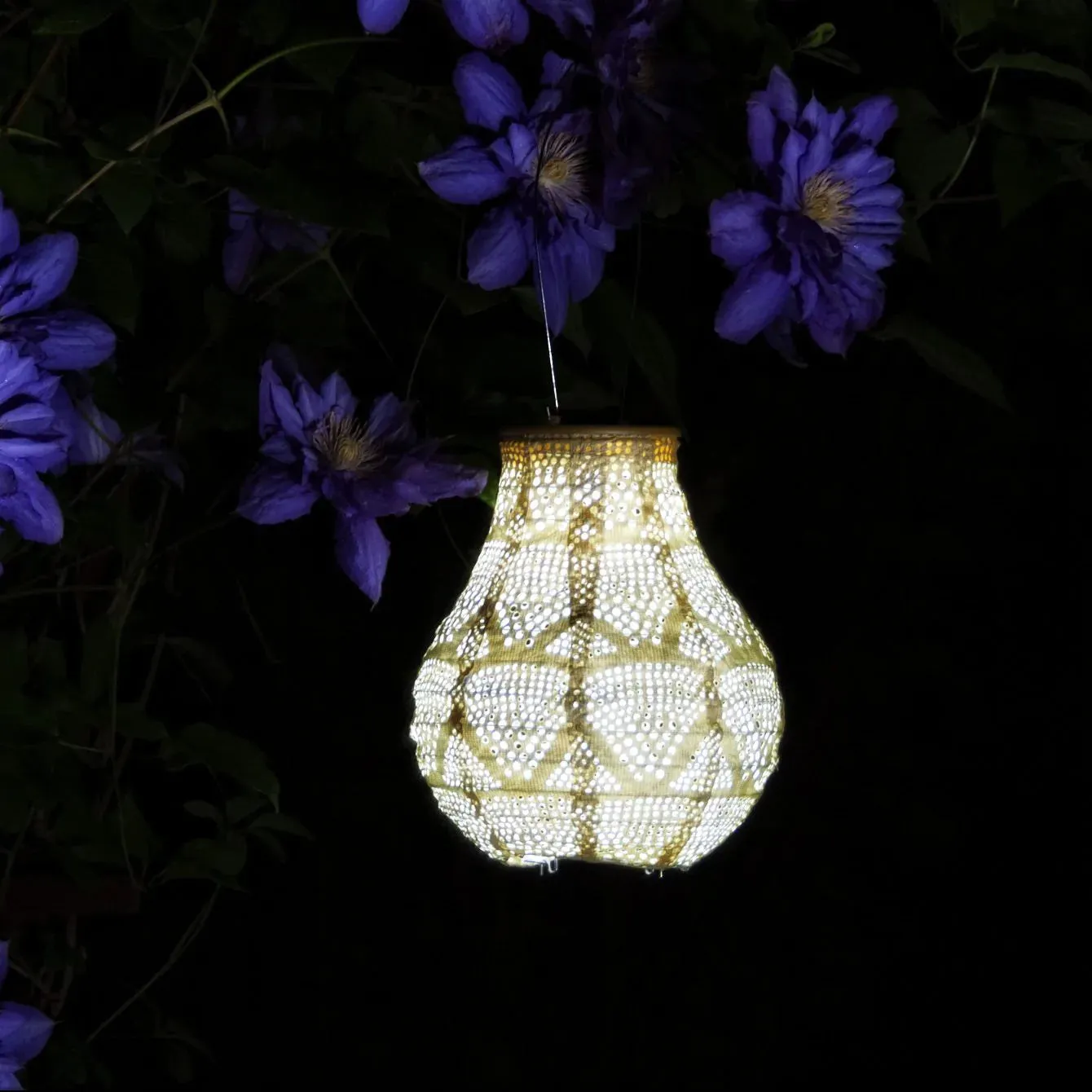 Bulb Solar Lantern