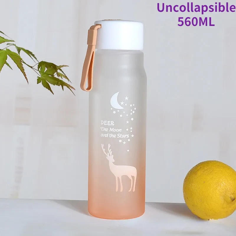 Collapsible Water Bottle