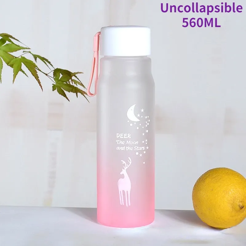 Collapsible Water Bottle