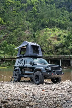 Comfortable Inflatable Roof Tent for 2-3 People, Quick Setup and Elevated Camping, SUV and Truck Adventures, Black