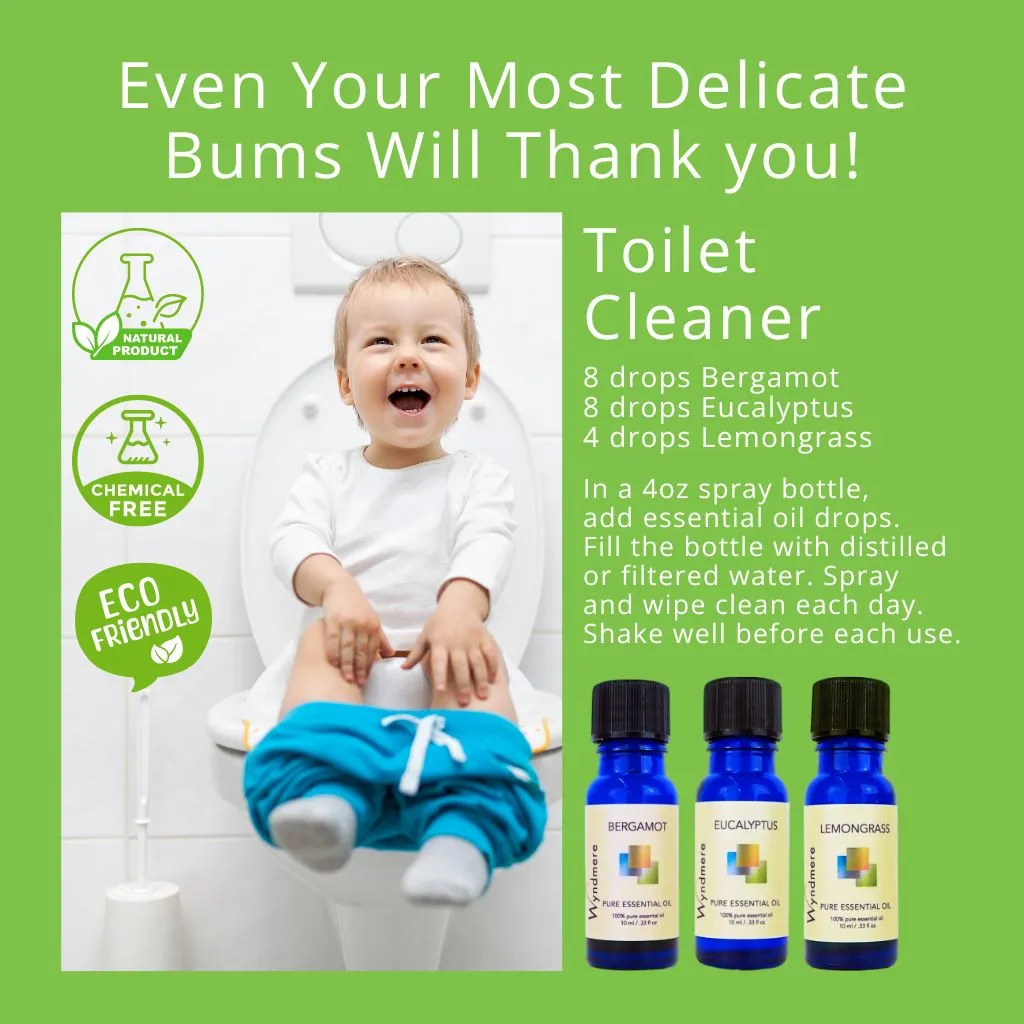 Delicate Bums Toilet Cleaner Bundle