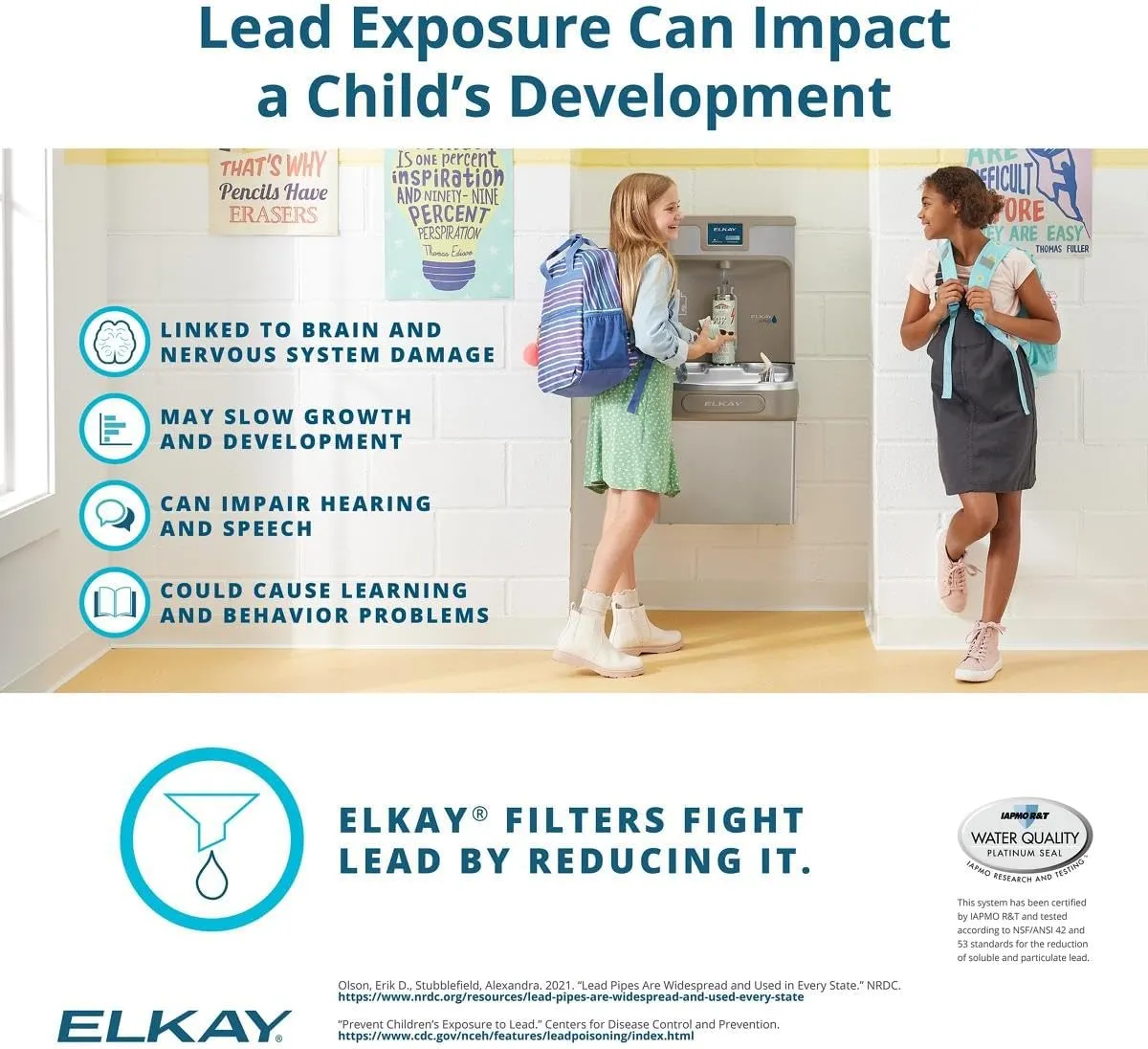 Elkay 51300C WaterSentry Lead   Microplastics NSF/ANSI Certified Filter (Bottle Fillers)