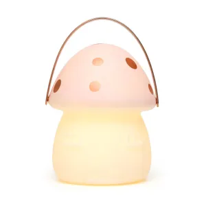 Fairy House Carry Lantern - Pink/Rose Gold
