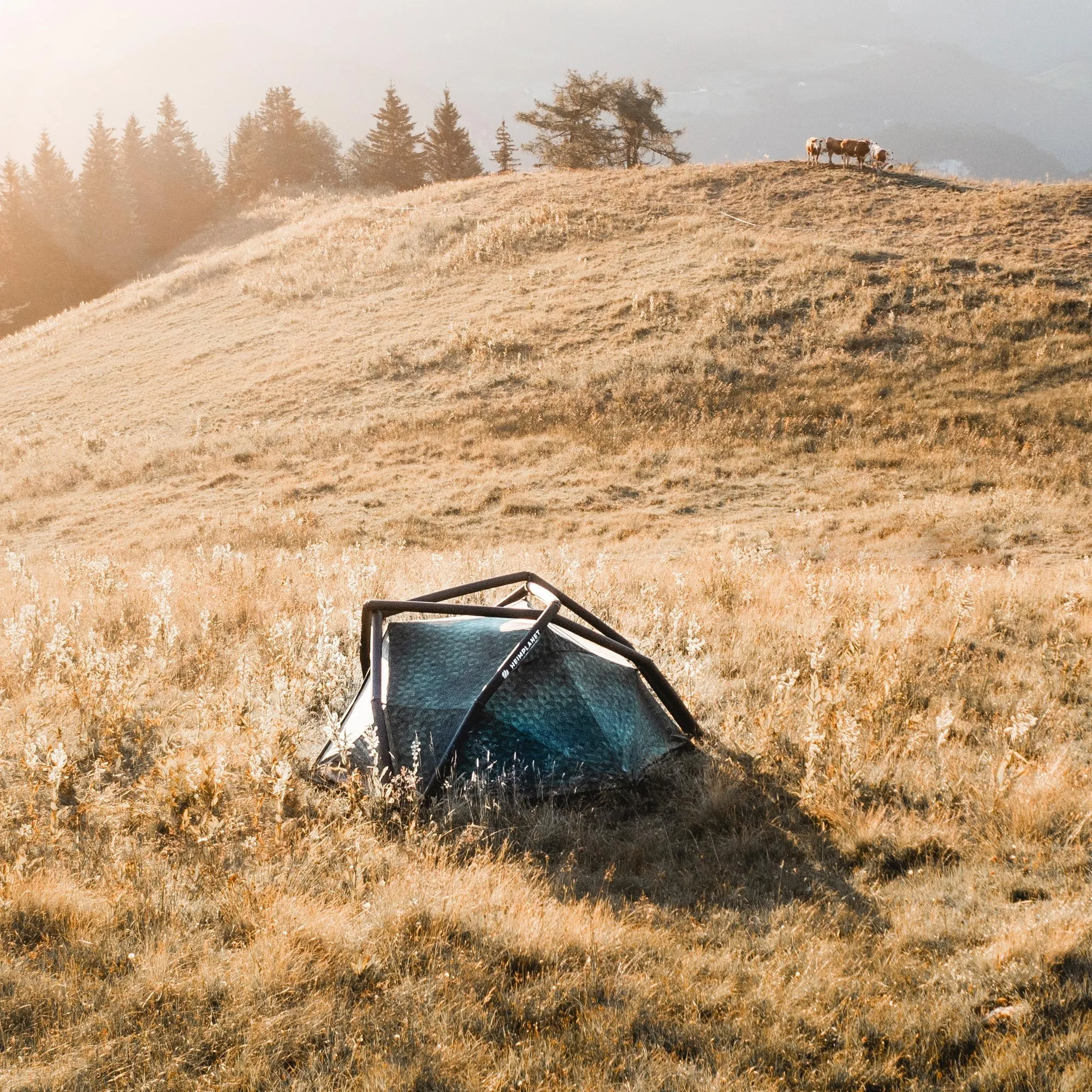 Hemiplanet Kirra Inflatable Tent, Cairo Camo, 2-Person