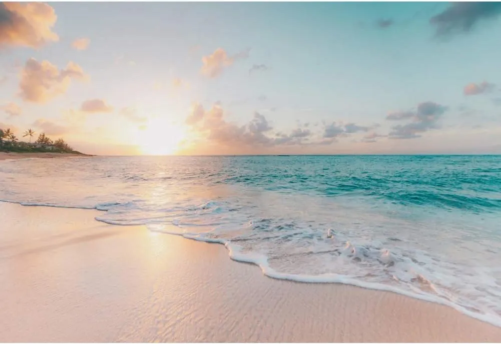 Leowefowa 8x6ft Sea Beach Backdrop Seaside Beach Sunrise Sea Wave Outdoor Scenery Wedding Photography Backdrops for Photo Shoots Party Adult Personal Portrait Photo Background Studio Props