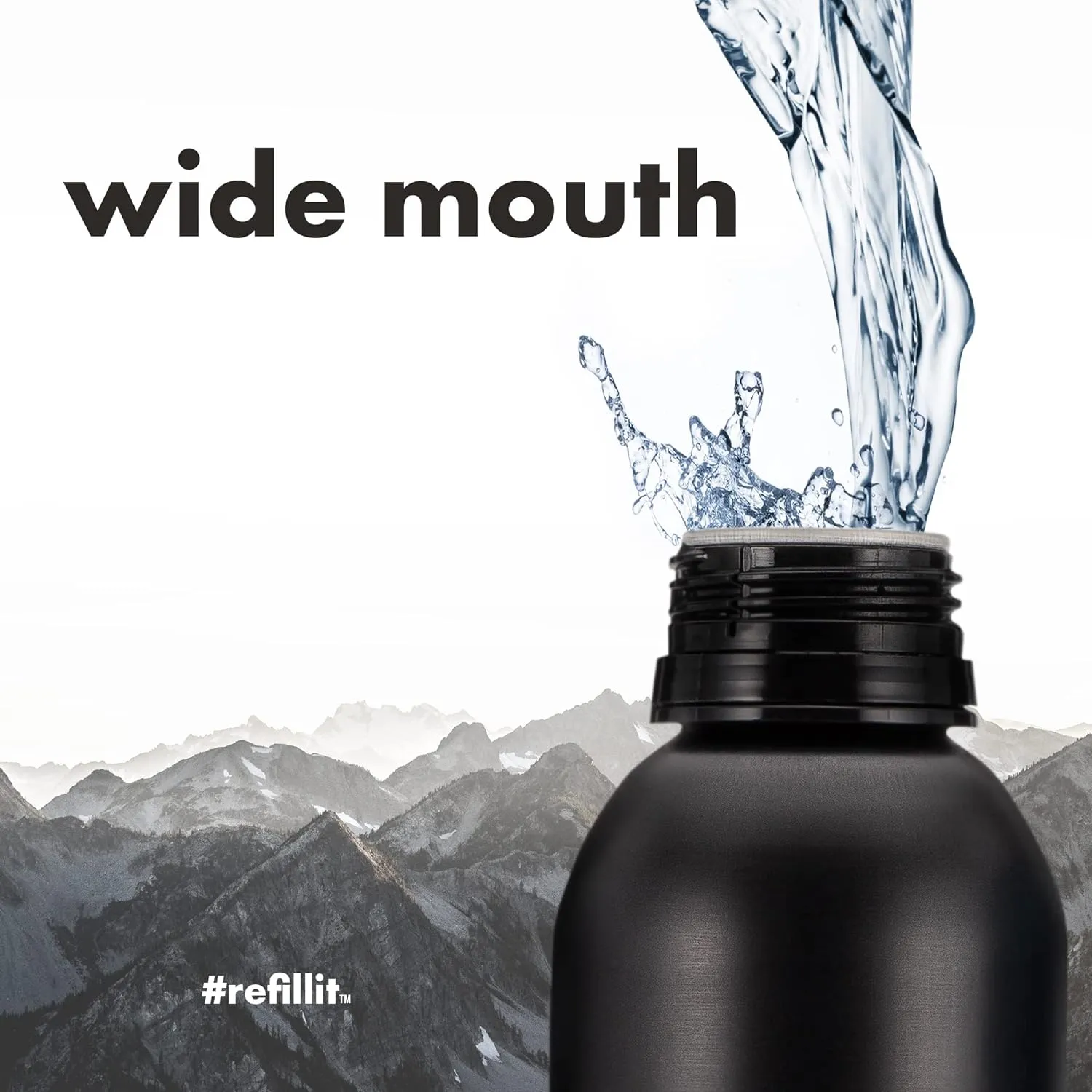 PATH Alkaline Bottled Water - 9.5 pH-Balanced Purified Water with Electrolytes in Aluminum Bottle - BPA-Free, Reusable, Infinitely Recyclable - Pure, Crisp, Refreshing Taste 25 fl oz (Pack of 4)