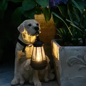 Playful Paws Solar Lantern