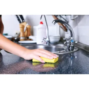 Pop Up Sponges - Set of 4