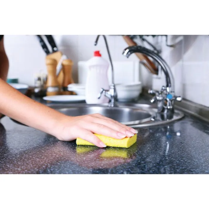 Pop Up Sponges - Set of 4