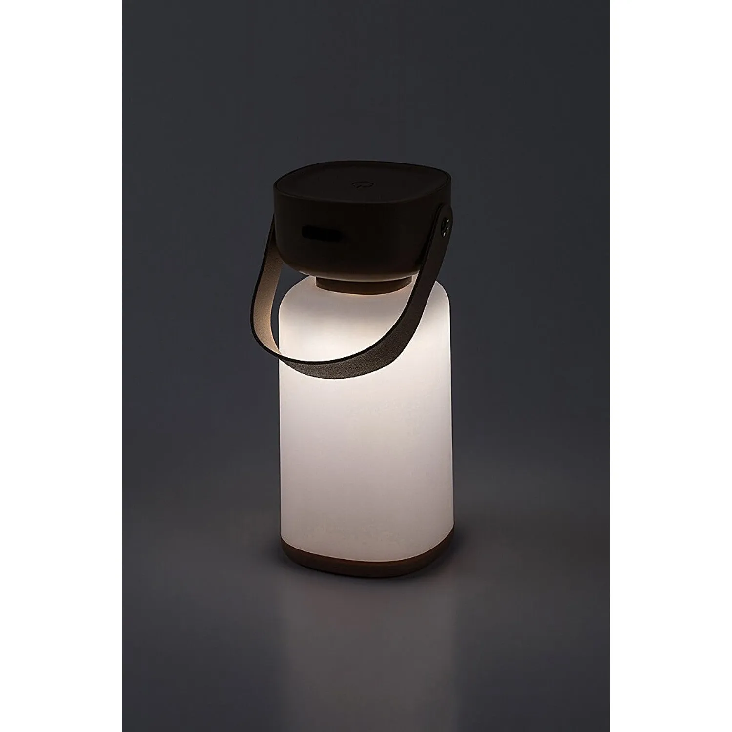 Rabalux decorative lamp, outdoor, IP44, 3W, brown, Funes