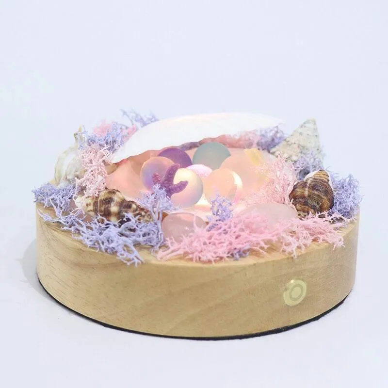 Shell LED Night Lamp - Decorative Soft Light