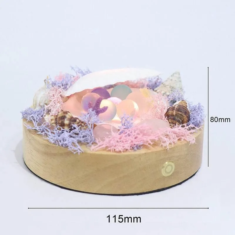Shell LED Night Lamp - Decorative Soft Light