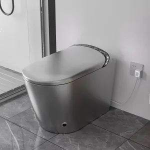 Sounor Modern Smart Toilets With Bidet Built In Self Cleaning,Elongated Heated Seat,Warm Water Sprayer,Foot Kick,1.28 GPF Powerful Auto Flush,Auto Open/Close Lid, LED Night Light Display (gray)