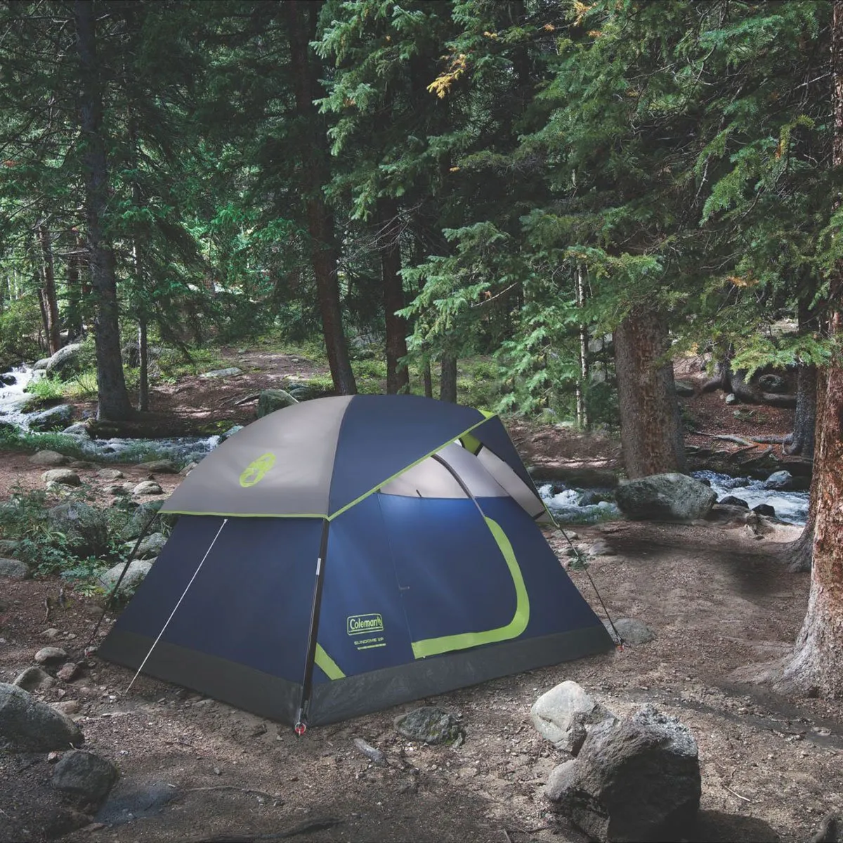 SUNDOME® 2 OR 4 PERSON DOME TENTS