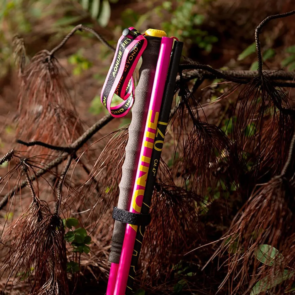 Trekking Poles Carbon Fiber 2 Collapsible and Lightweight Hiking Sticks with EVA Grip, Quick Locking, Balance Support