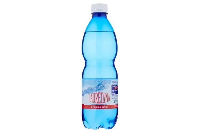 WH | Sparkling Water - Plastic Bottle (24x500ml)