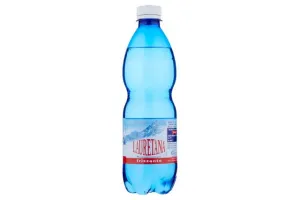 WH | Sparkling Water - Plastic Bottle (24x500ml)