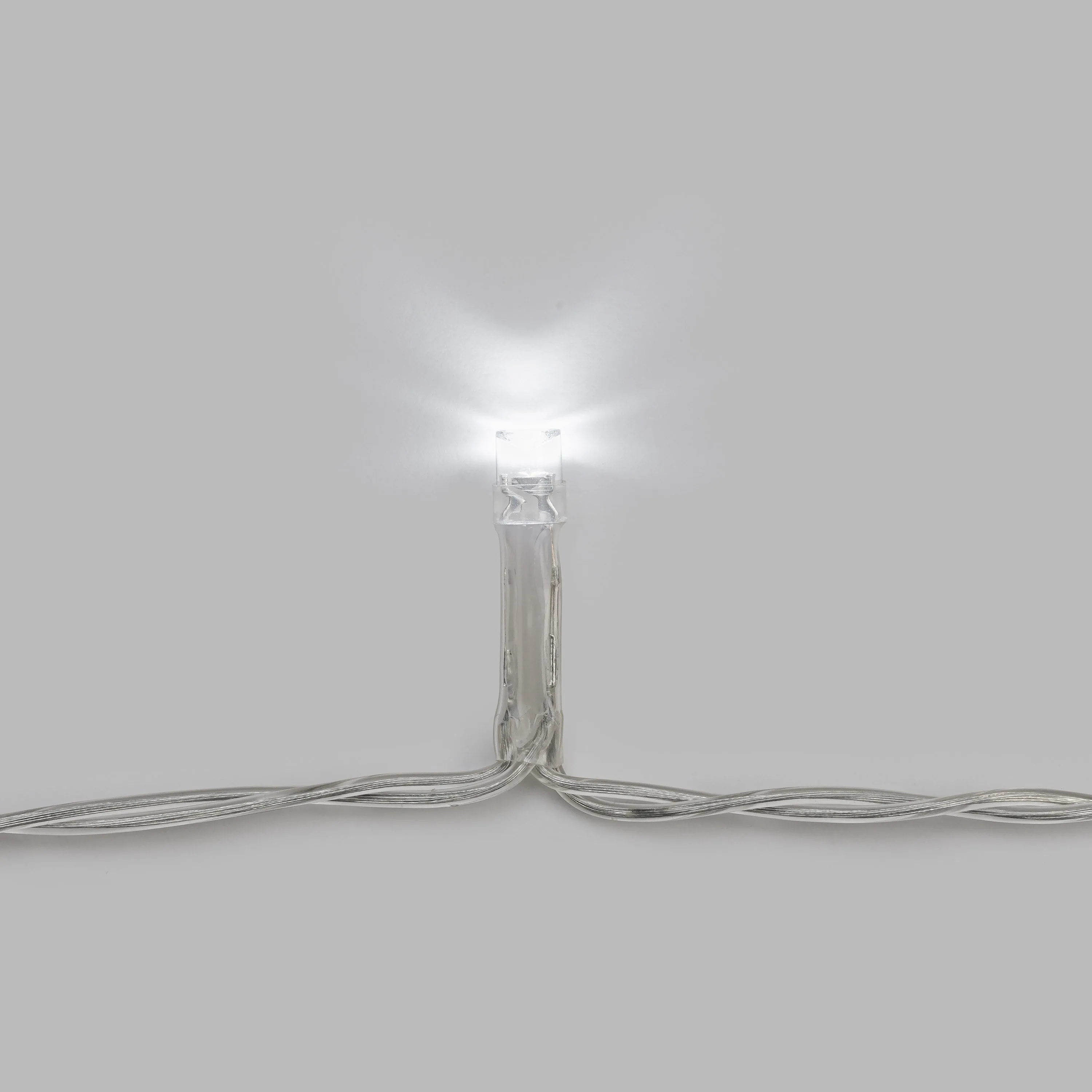 Youth String Lights